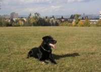 /album/ruzne/max-22-9-09-2-jpg/